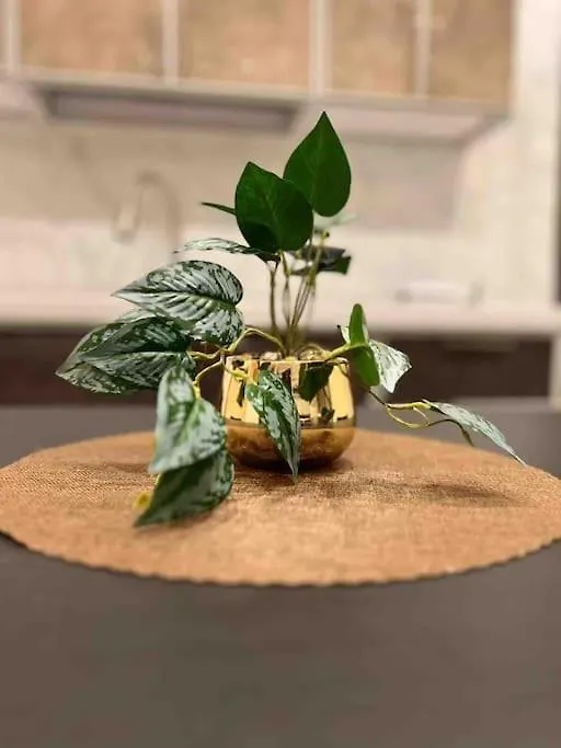 الفخامة المروة Apartment Jeddah